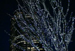 sample 4